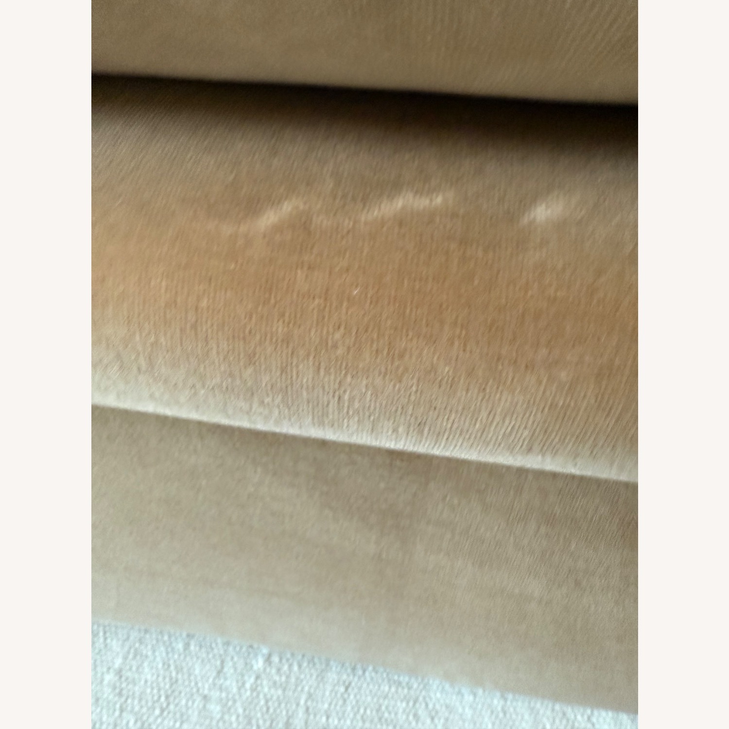 CB2 Camel Velvet Mardones Couch  - image-5