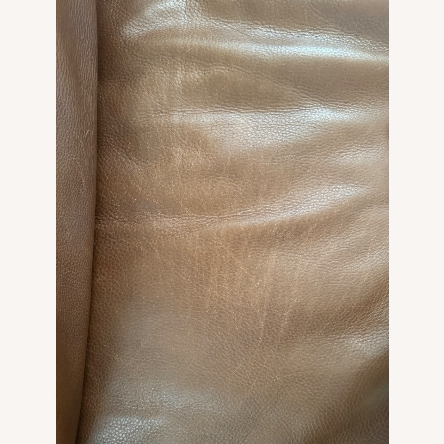 Pierson Leather Sofa - image-4
