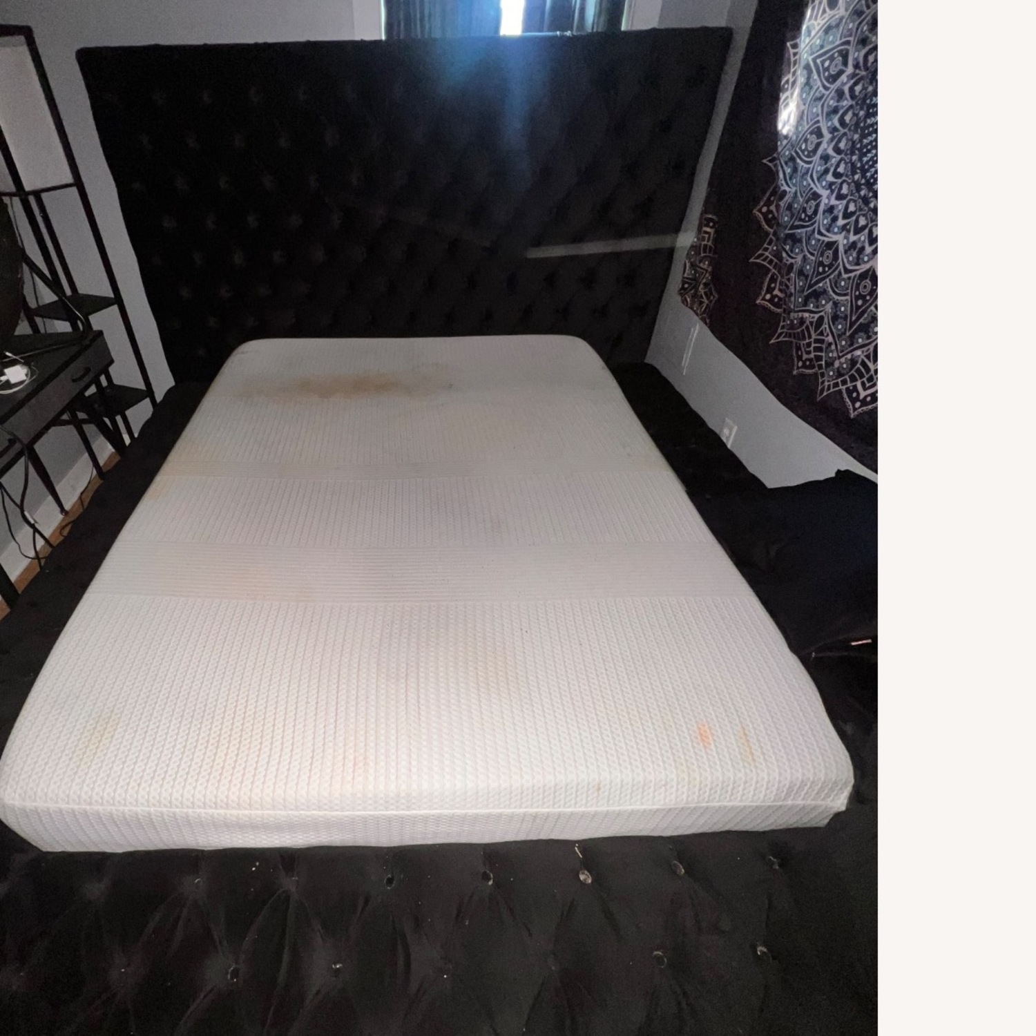 Johnnay Upholstered Platform Storage Bed - image-4