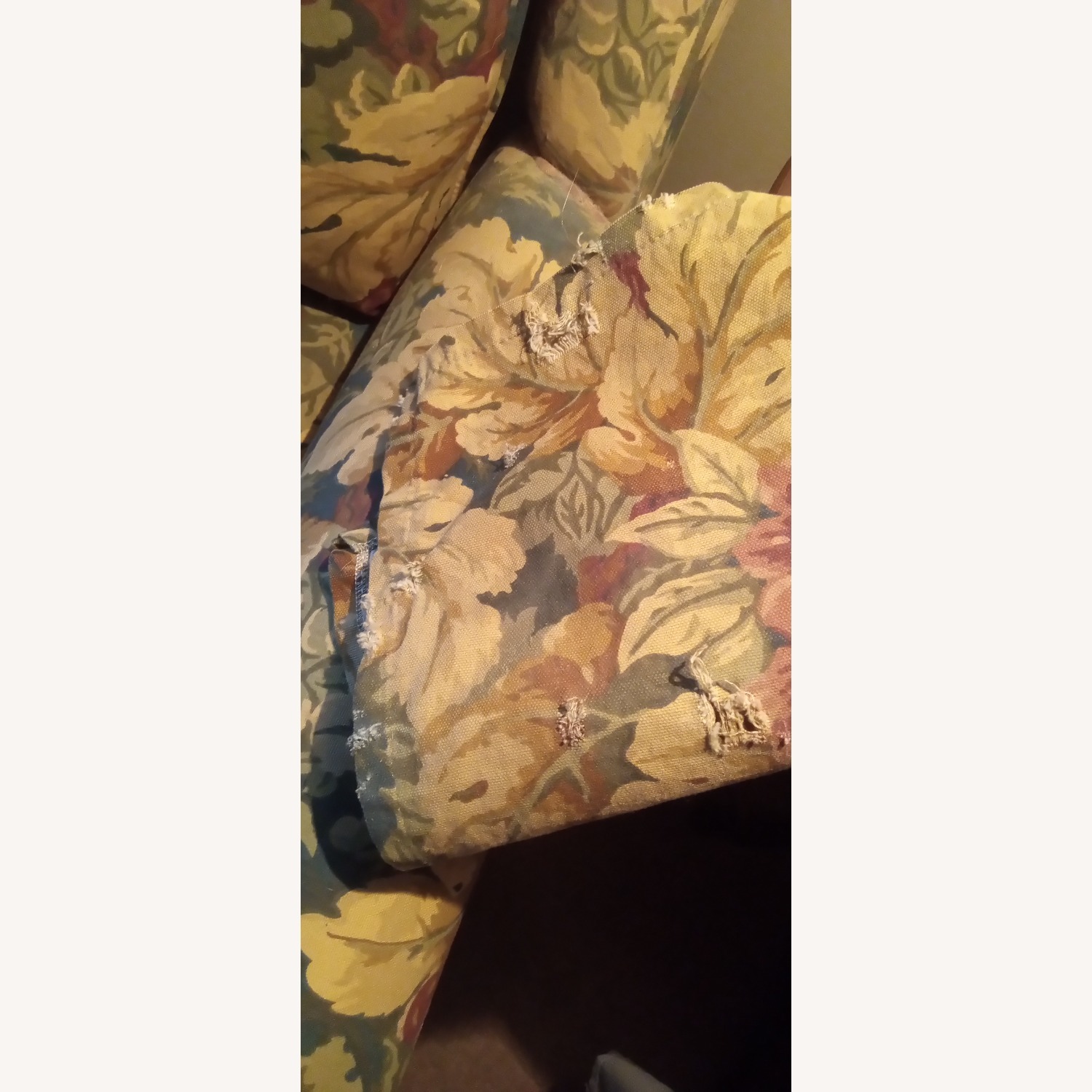 Chair and Ottoman - image-3