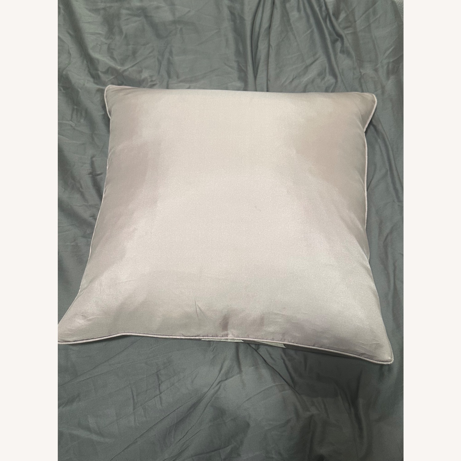 Thomas Paul Silk Pillow - image-2