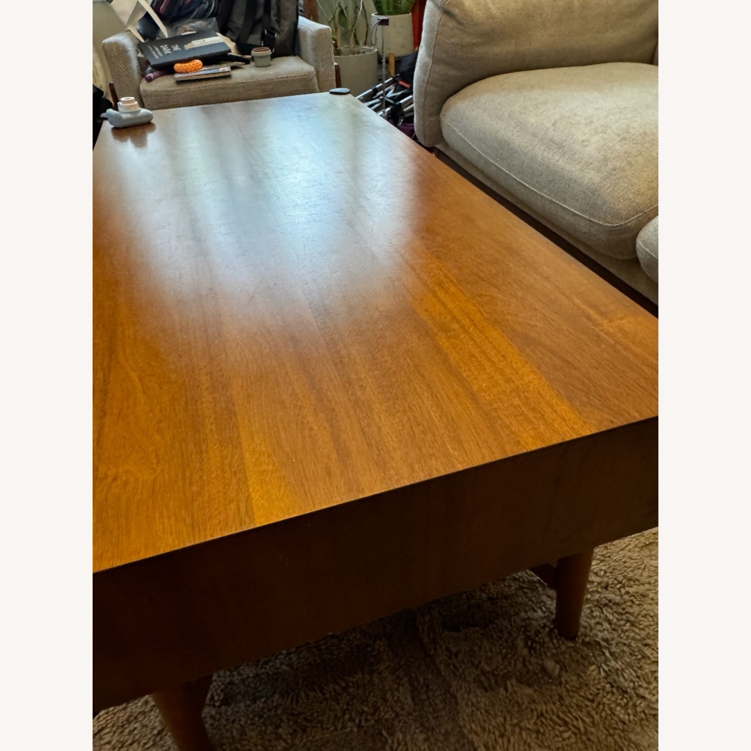 Mid-Century Storage Coffee Table (47.5") - image-8