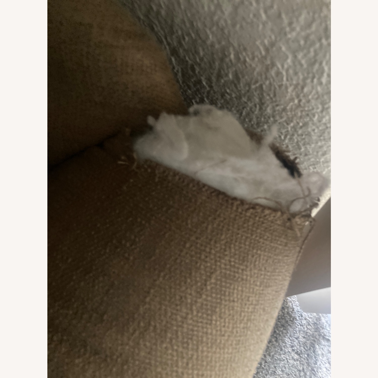 Bassett Brown Armchair - image-5