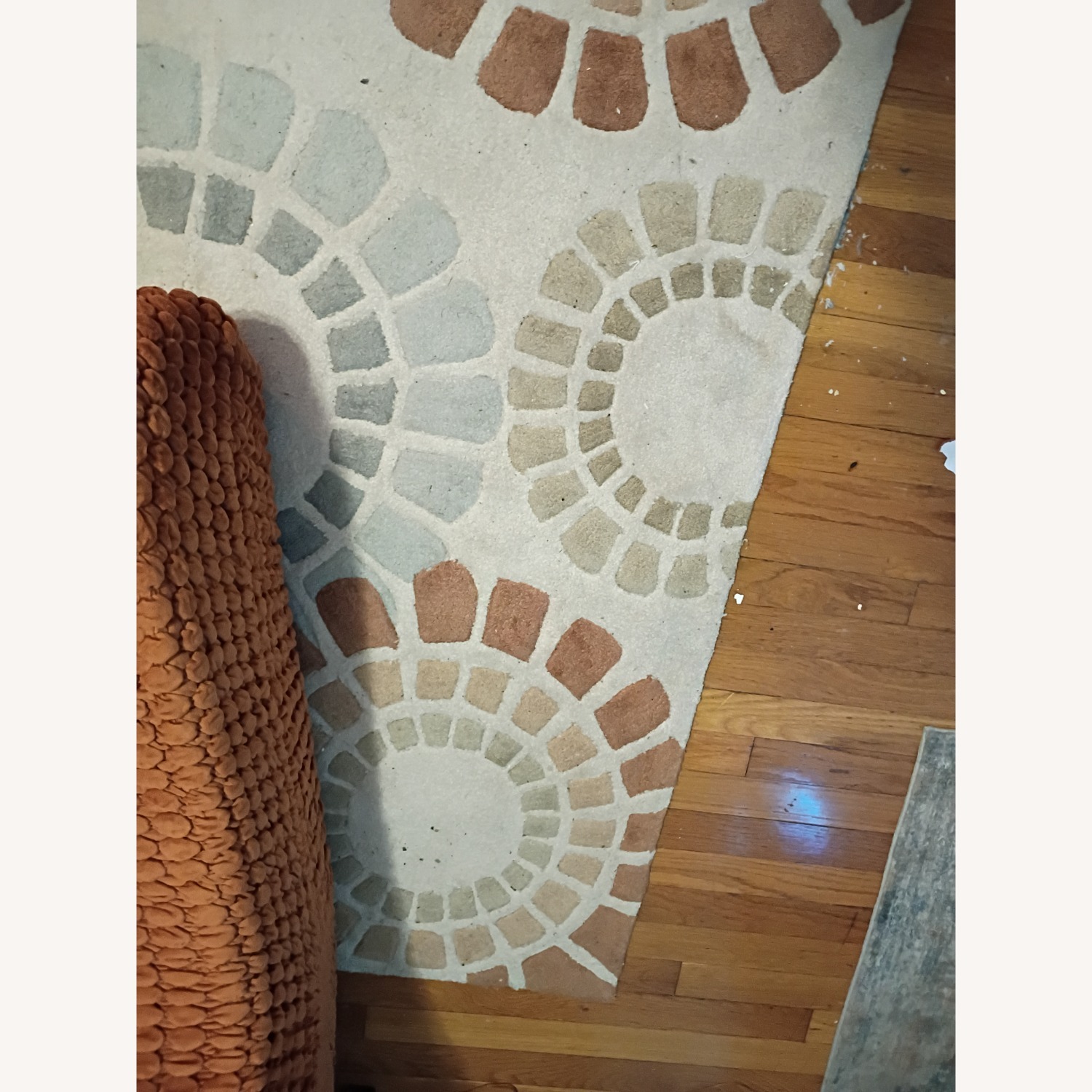 Crate & Barrel Mid Century Inspired Area Rug - image-2