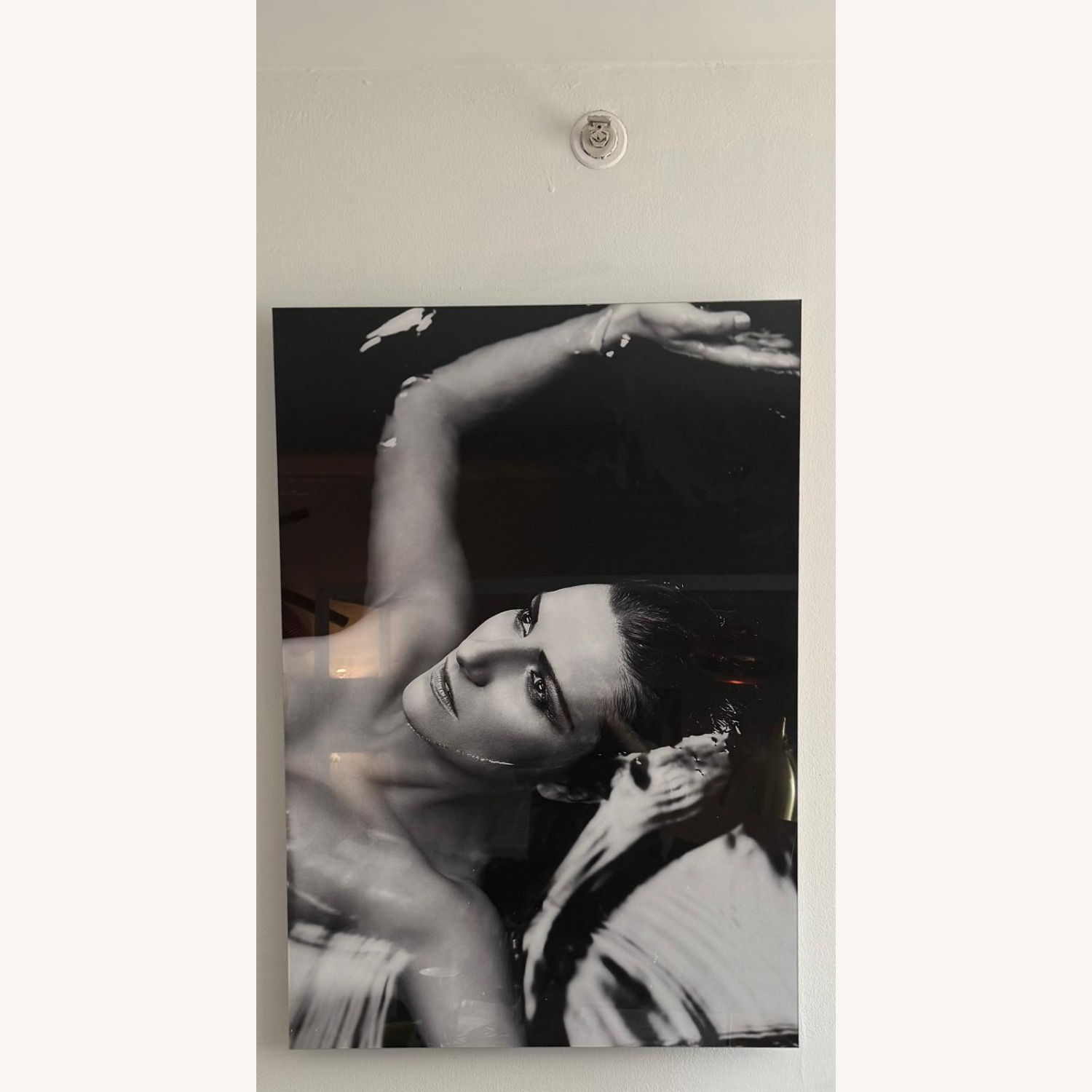 Laura Pausini Portrait – Plexiglass with Dibond - image-1