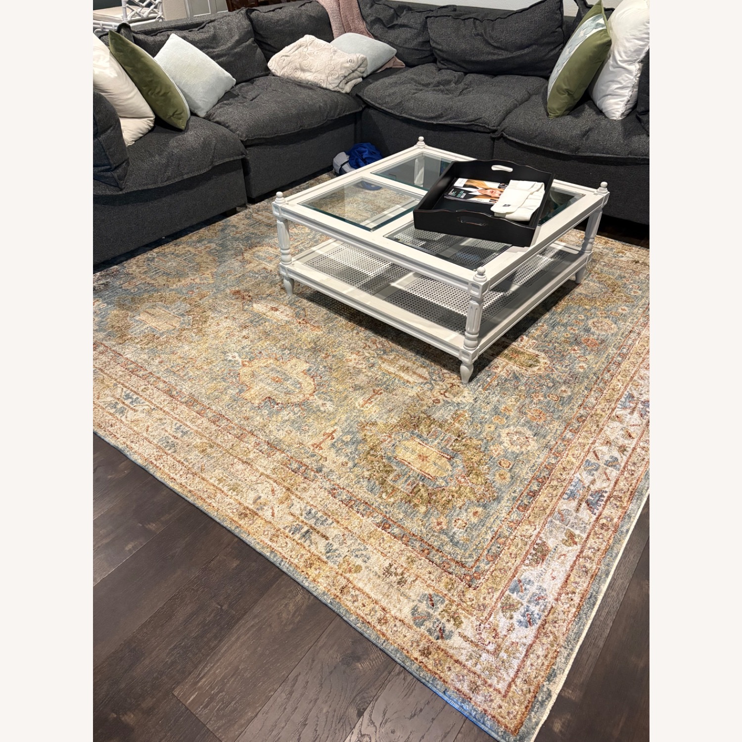 60×70 \"Chemical Formula” ViNTAGE RUG nuLOOM Jacquie Vintage Floral Silver 10 ft. x 14 ft. Area