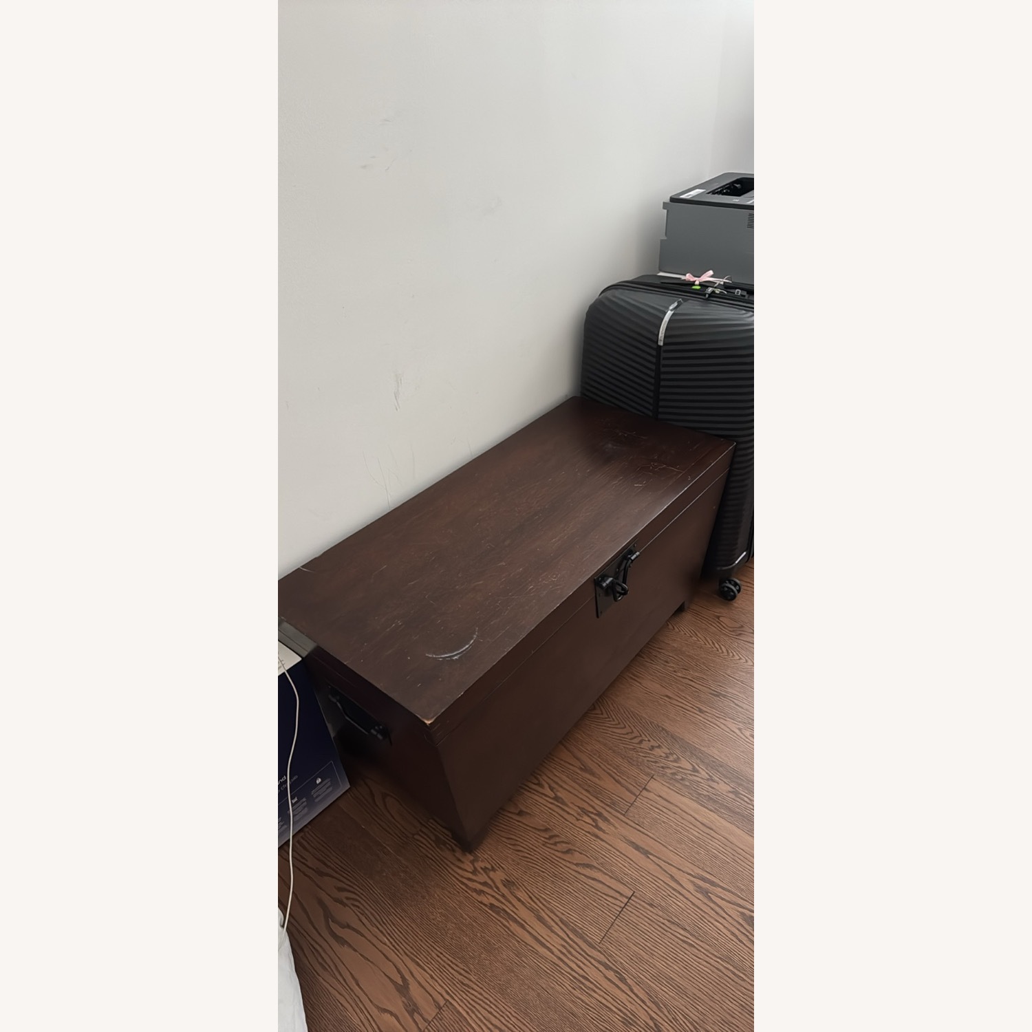 Pottery Barn Cairo Trunk - image-2