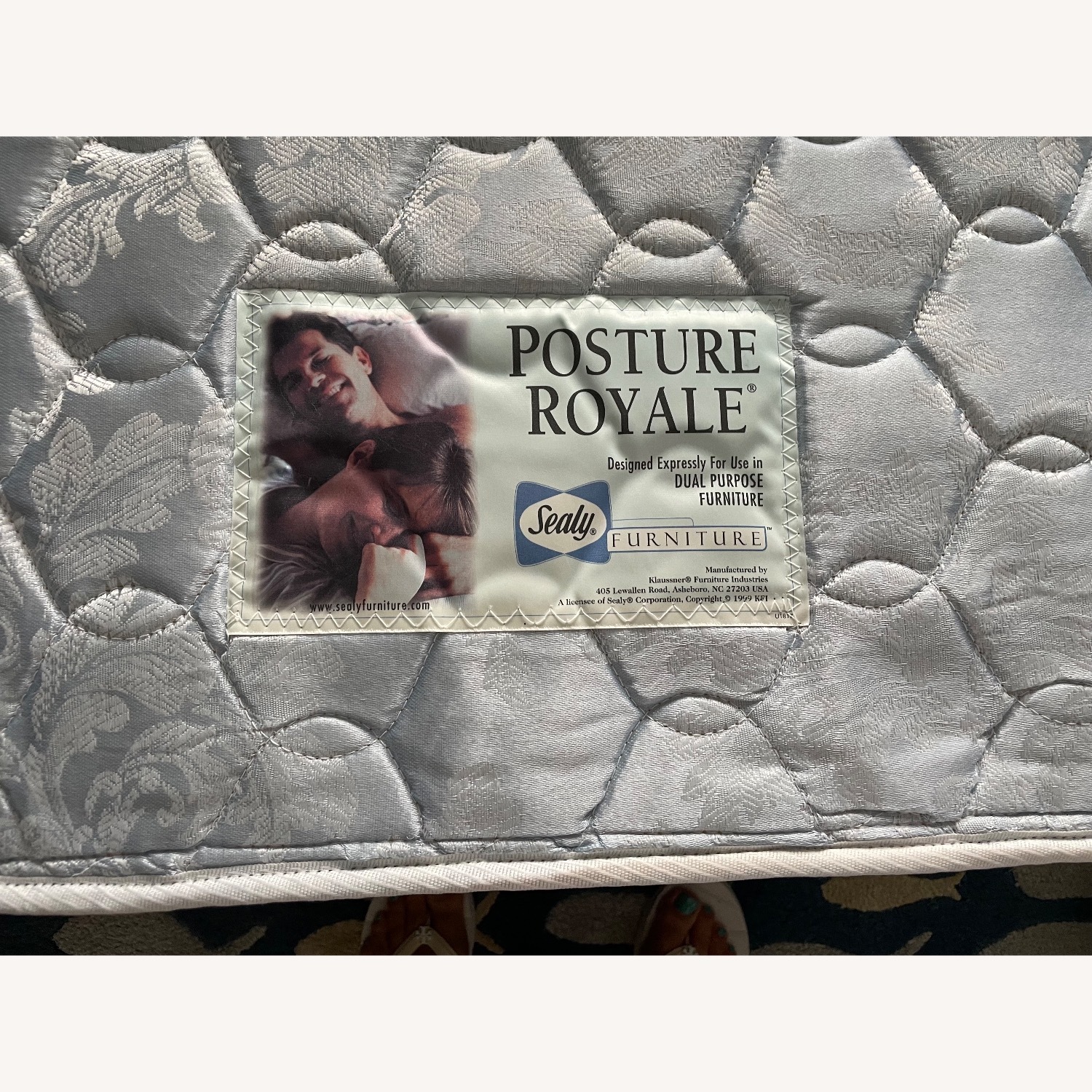 Twin Sleep Sofa - image-3