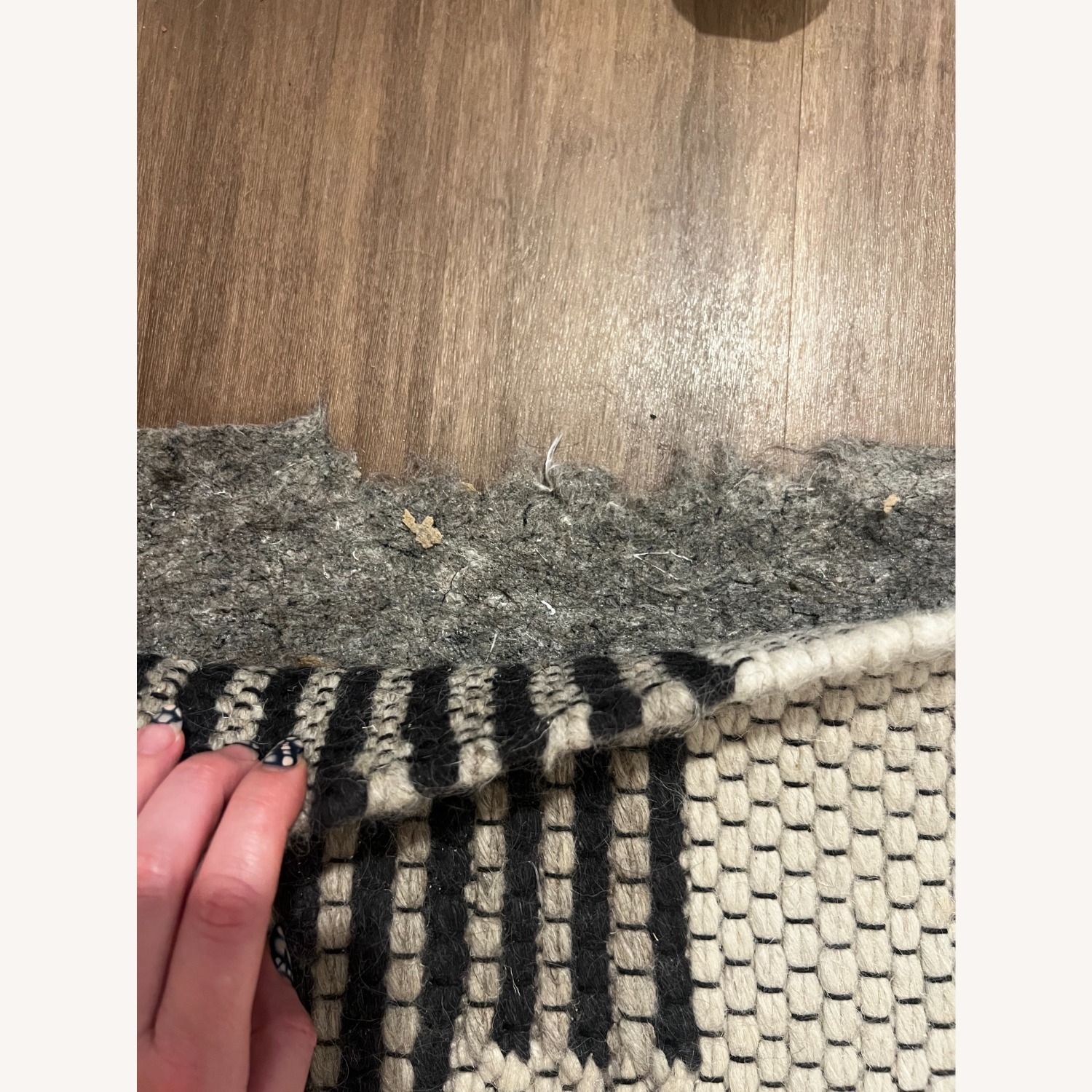 West Elm Colca Wool Rug 4x6  - image-3