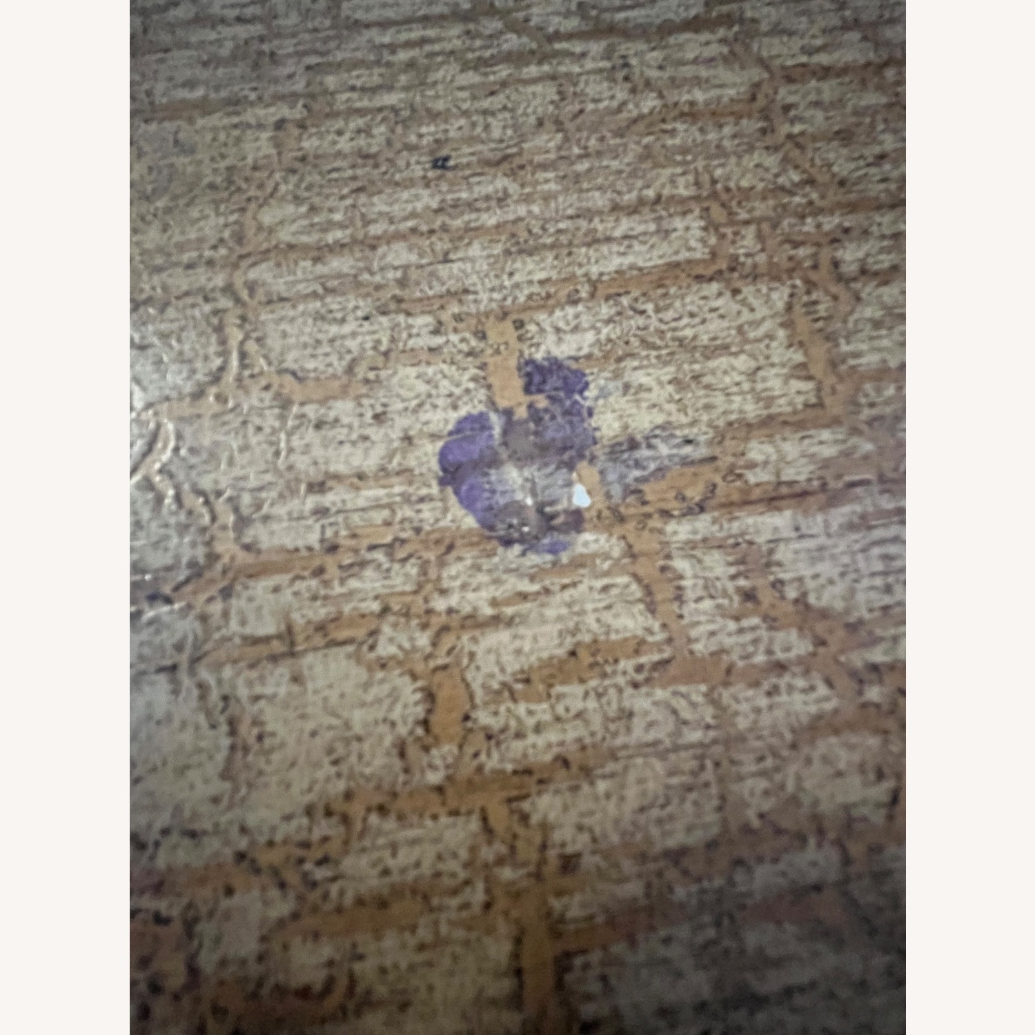 Storage Buffet!  - image-5