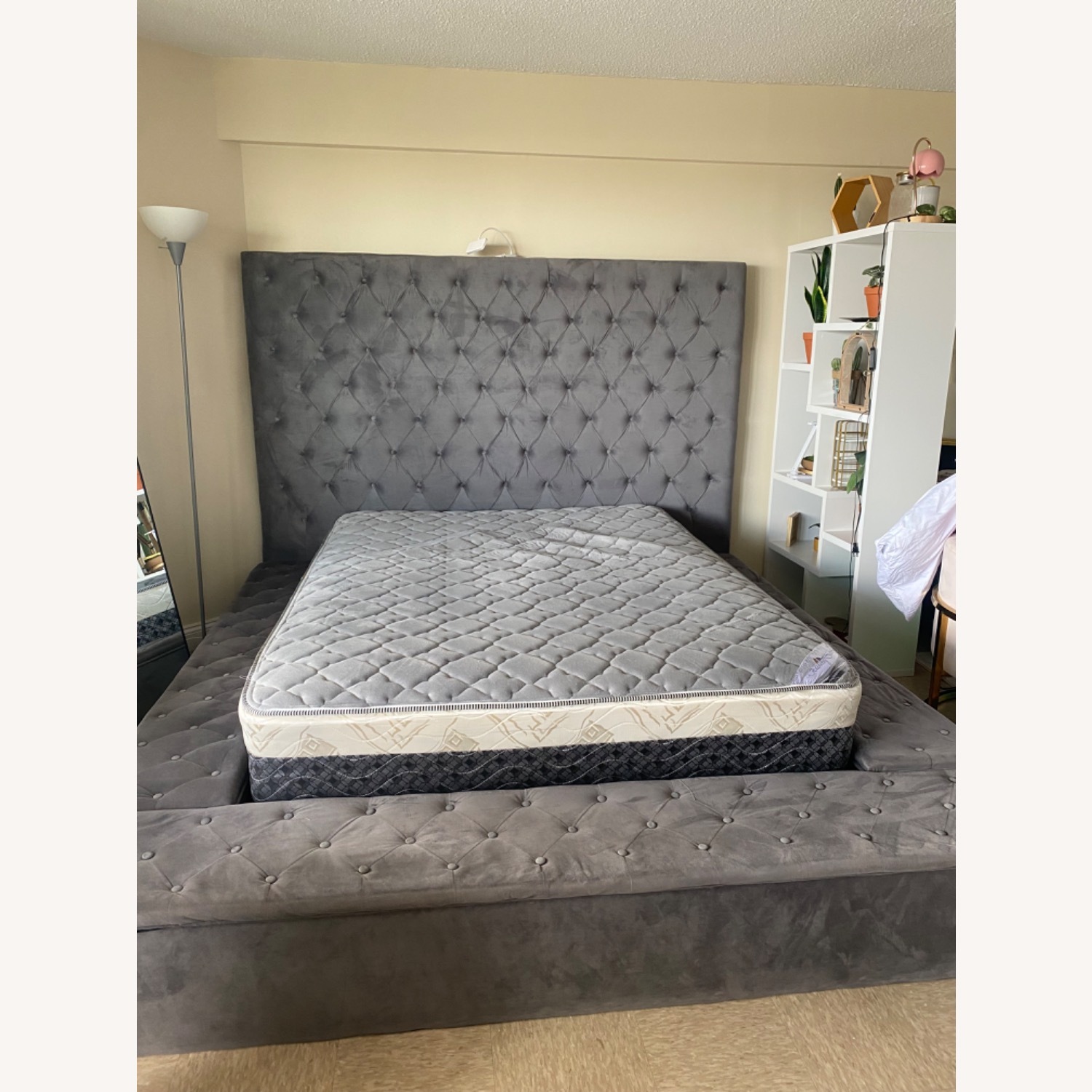 Queen Size Velvet Storage Bed Frame - image-2