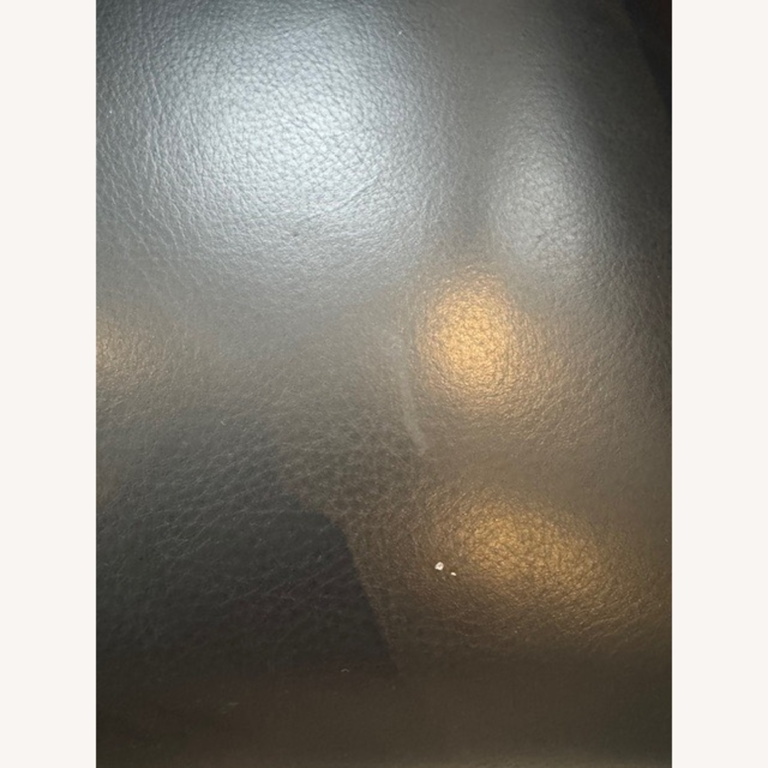 Paulo Bent Ply Leather and Solid Wood Chair - image-8