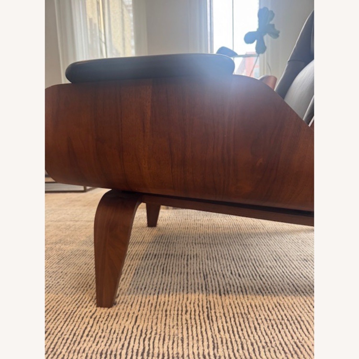 Paulo Bent Ply Leather and Solid Wood Chair - image-6