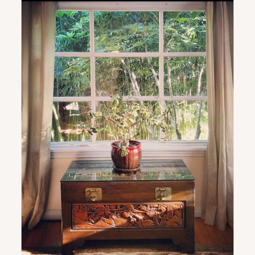 Used Carved Camphor Wood Chest with Glass Top  for sale on AptDeco