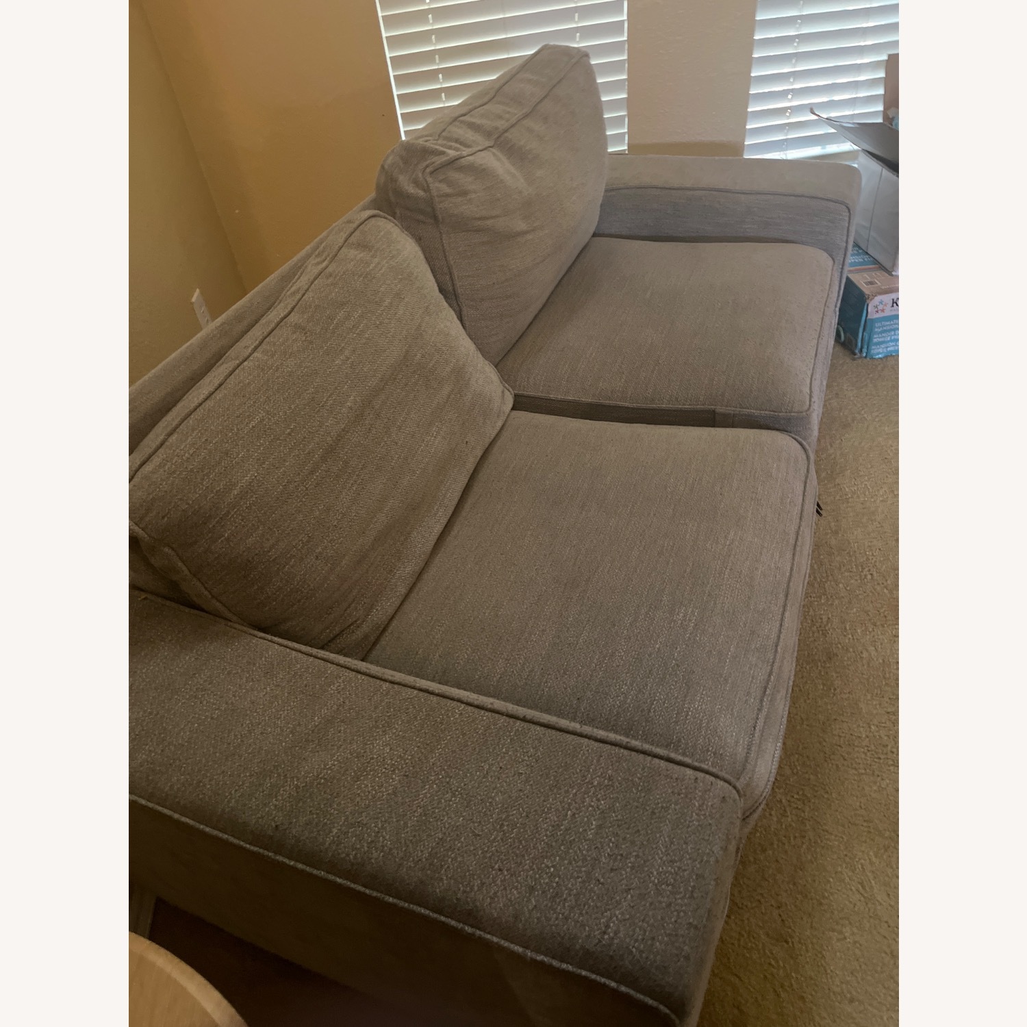 Light Gray Couch - image-3