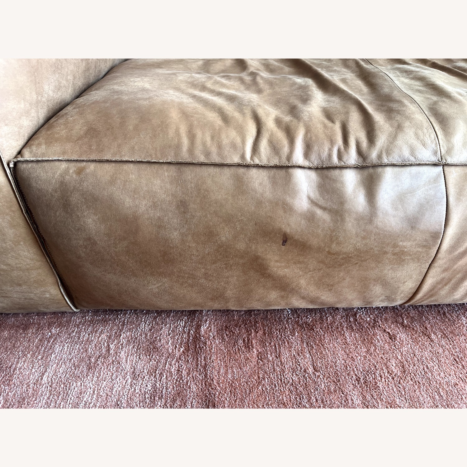 Article Cigar Rawhide Sofa - image-4