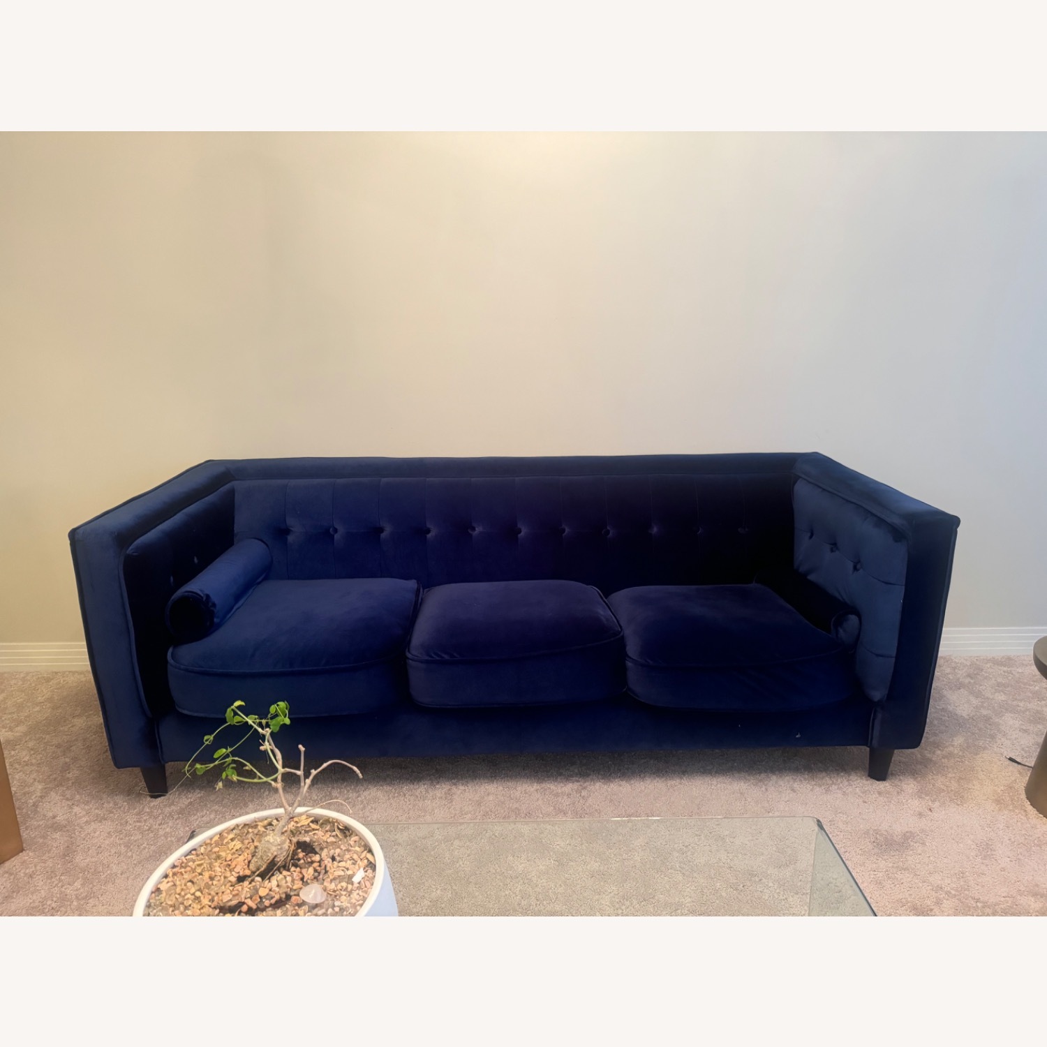 Wayfair Bilotta 84'' Velvet Sofa by Everly Quinn - image-1