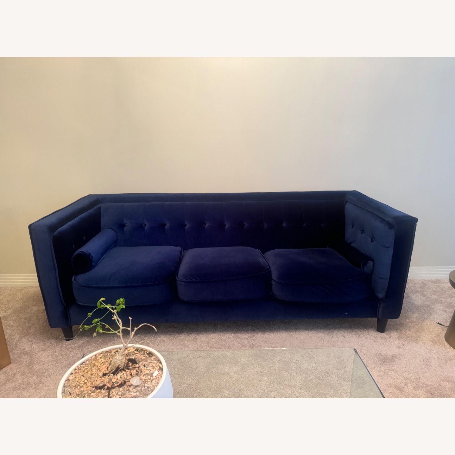 Wayfair Bilotta 84'' Velvet Sofa by Everly Quinn - image-2