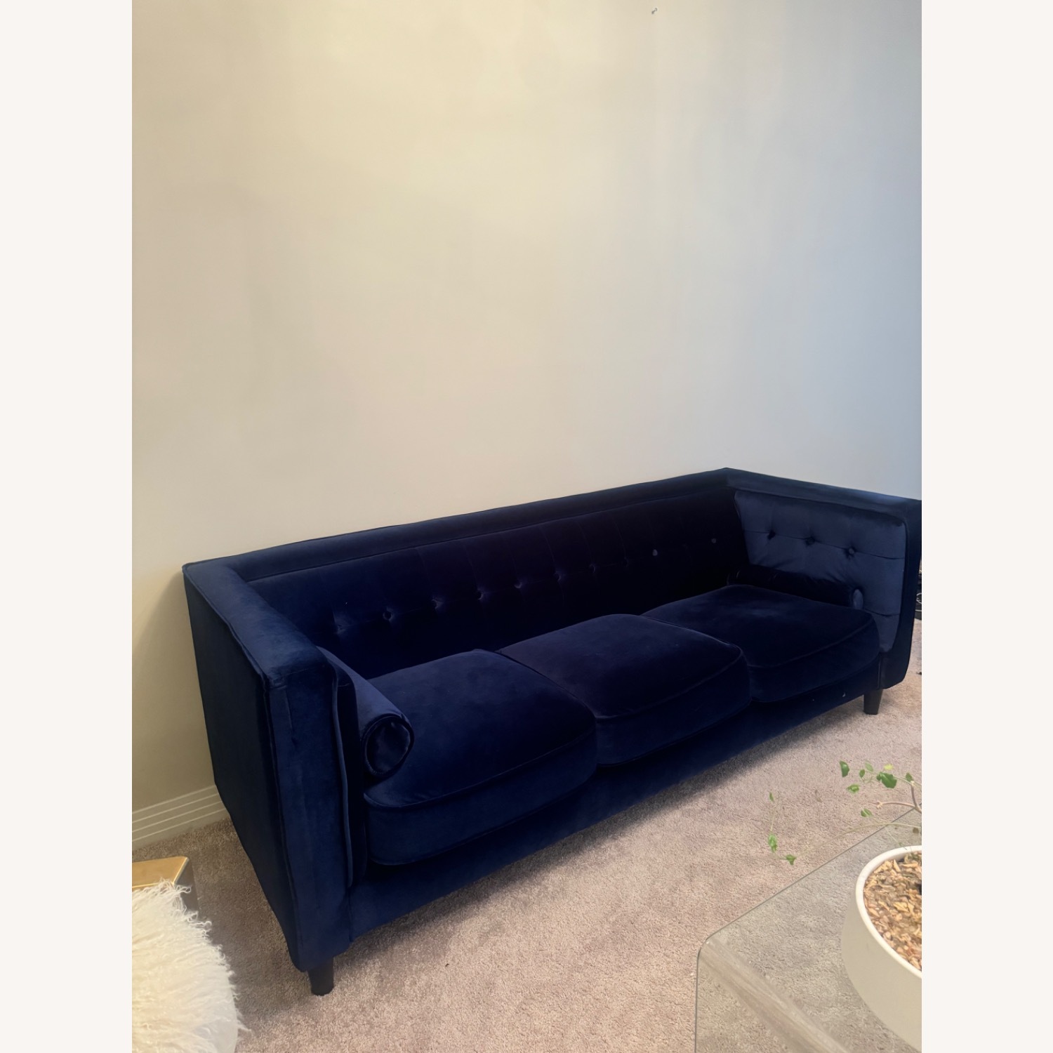 Wayfair Bilotta 84'' Velvet Sofa by Everly Quinn - image-4