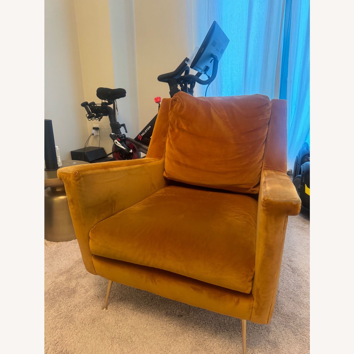 West Elm Carlo Chair Astor Velvet Dark Cardamom - image-4