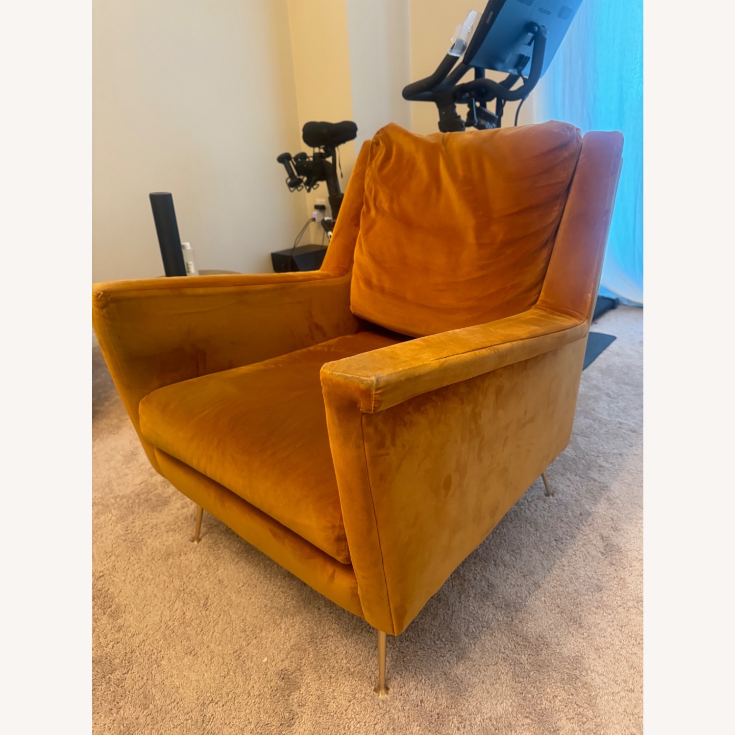 West Elm Carlo Chair Astor Velvet Dark Cardamom - image-3