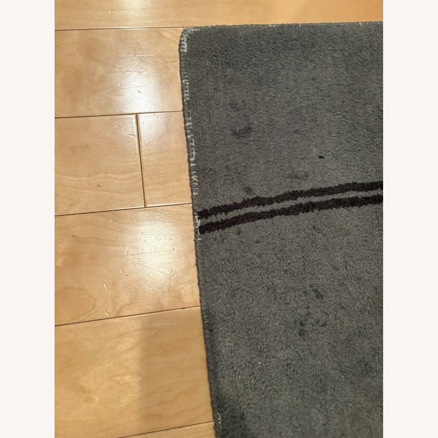 West Elm Nature Sketch 5'x8' Rug - image-4