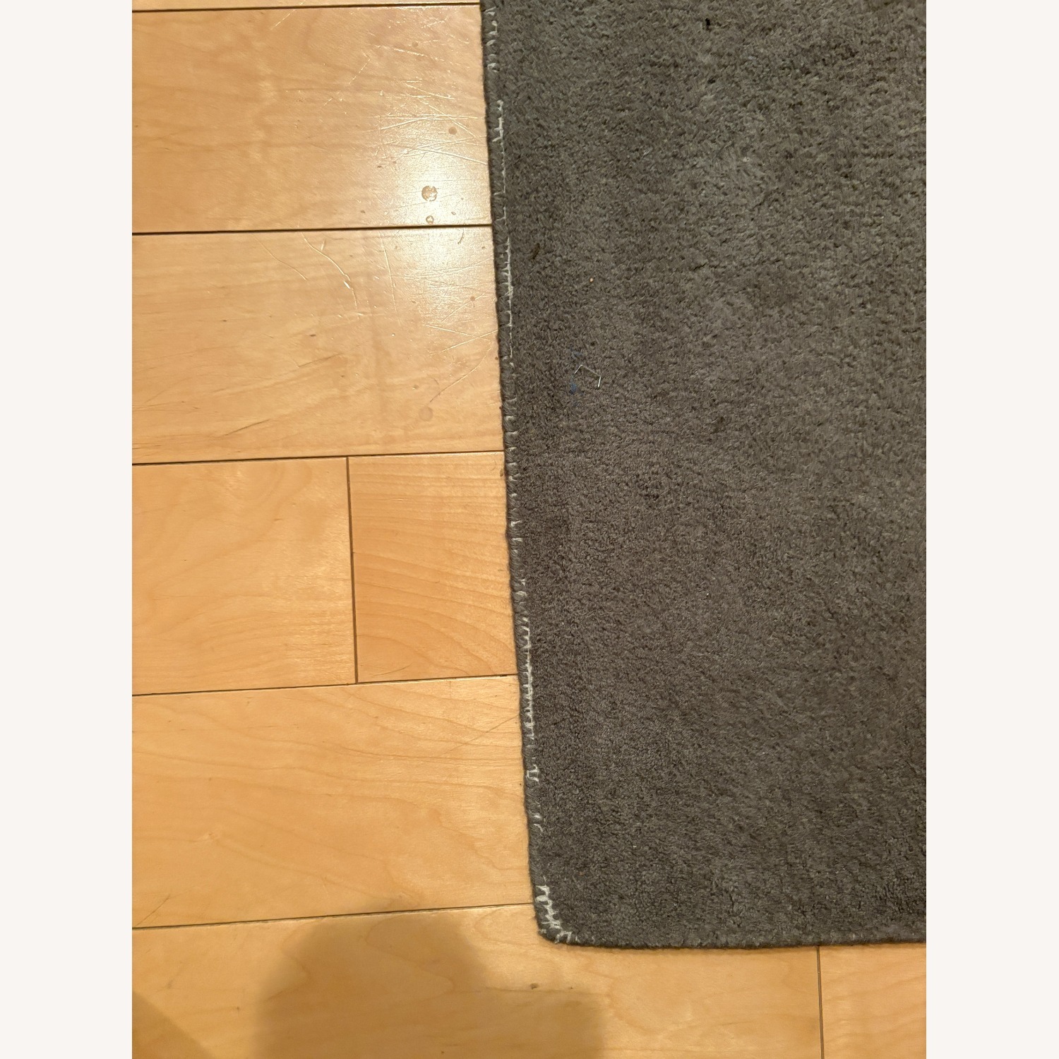 West Elm Nature Sketch 5'x8' Rug - image-3