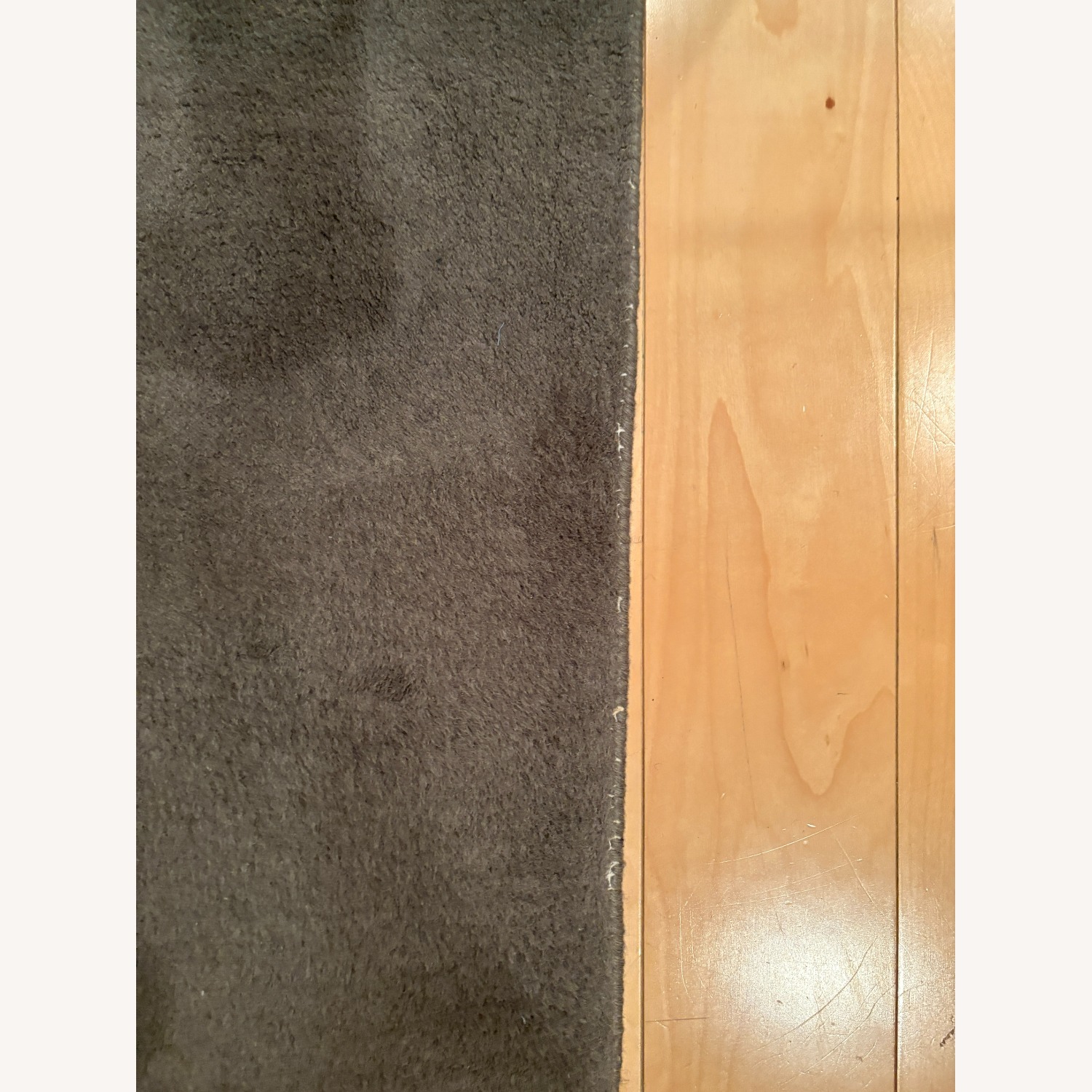 West Elm Nature Sketch 5'x8' Rug - image-5