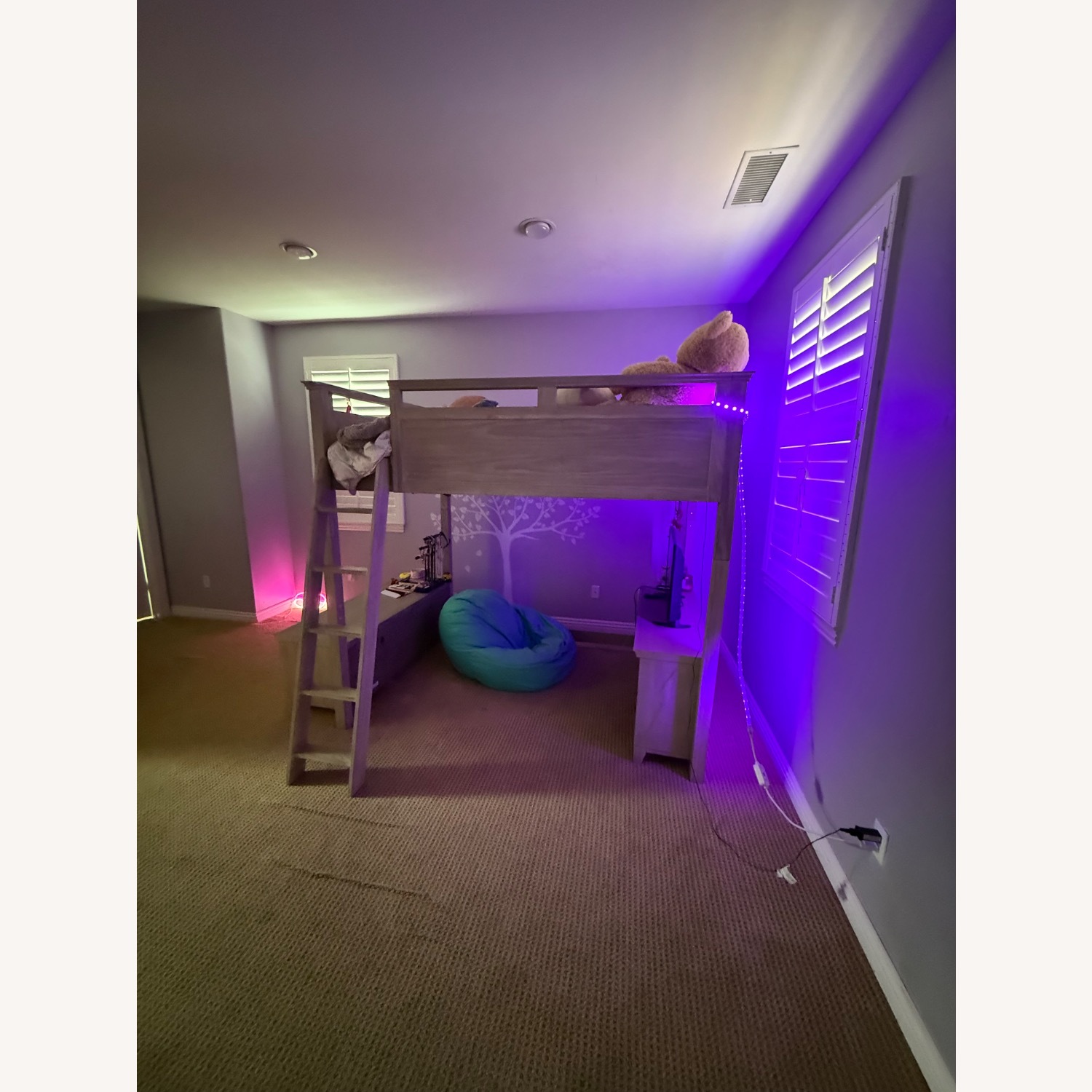 Pottery Barn Teen Hampton Loft Bed  - image-1