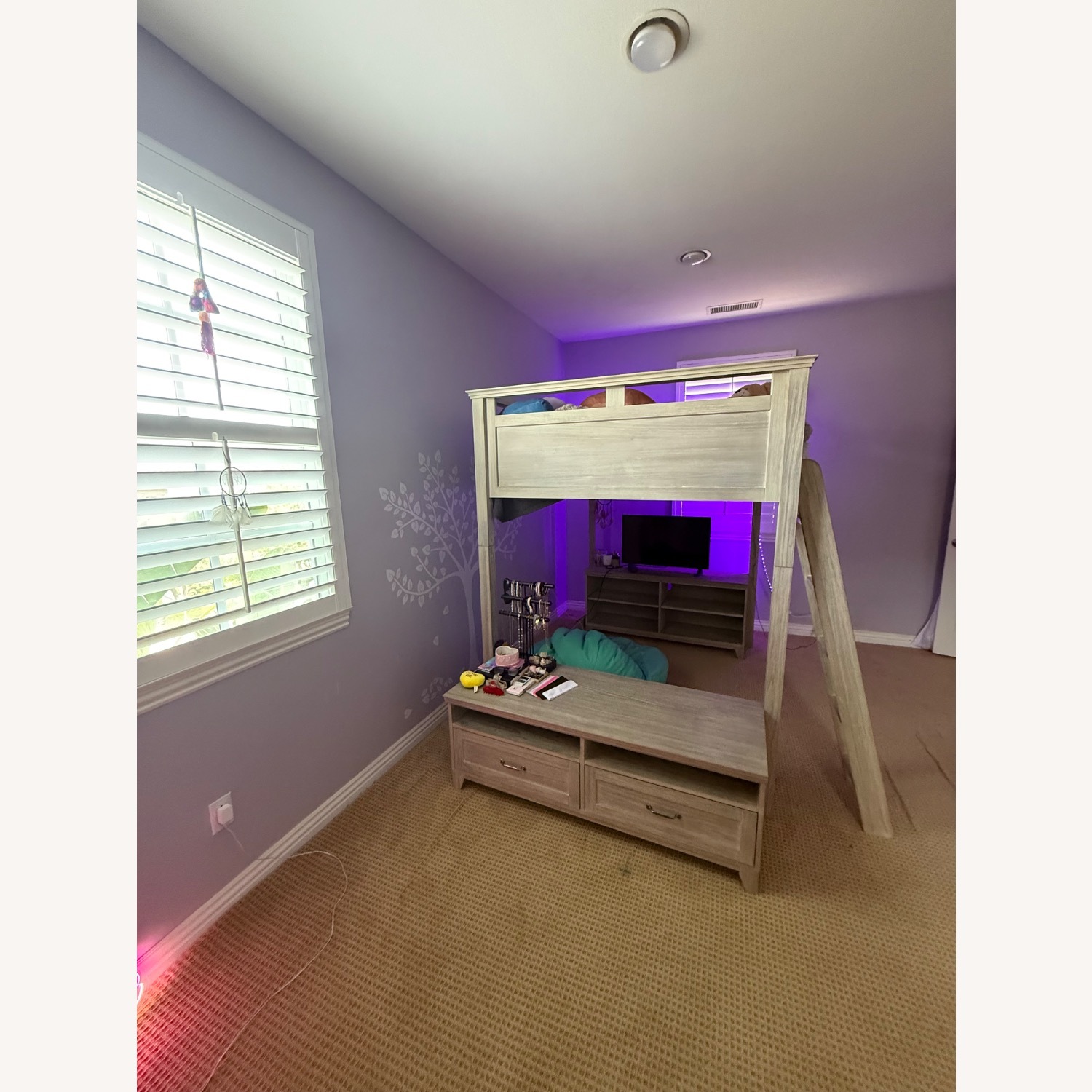 Pottery Barn Teen Hampton Loft Bed  - image-4