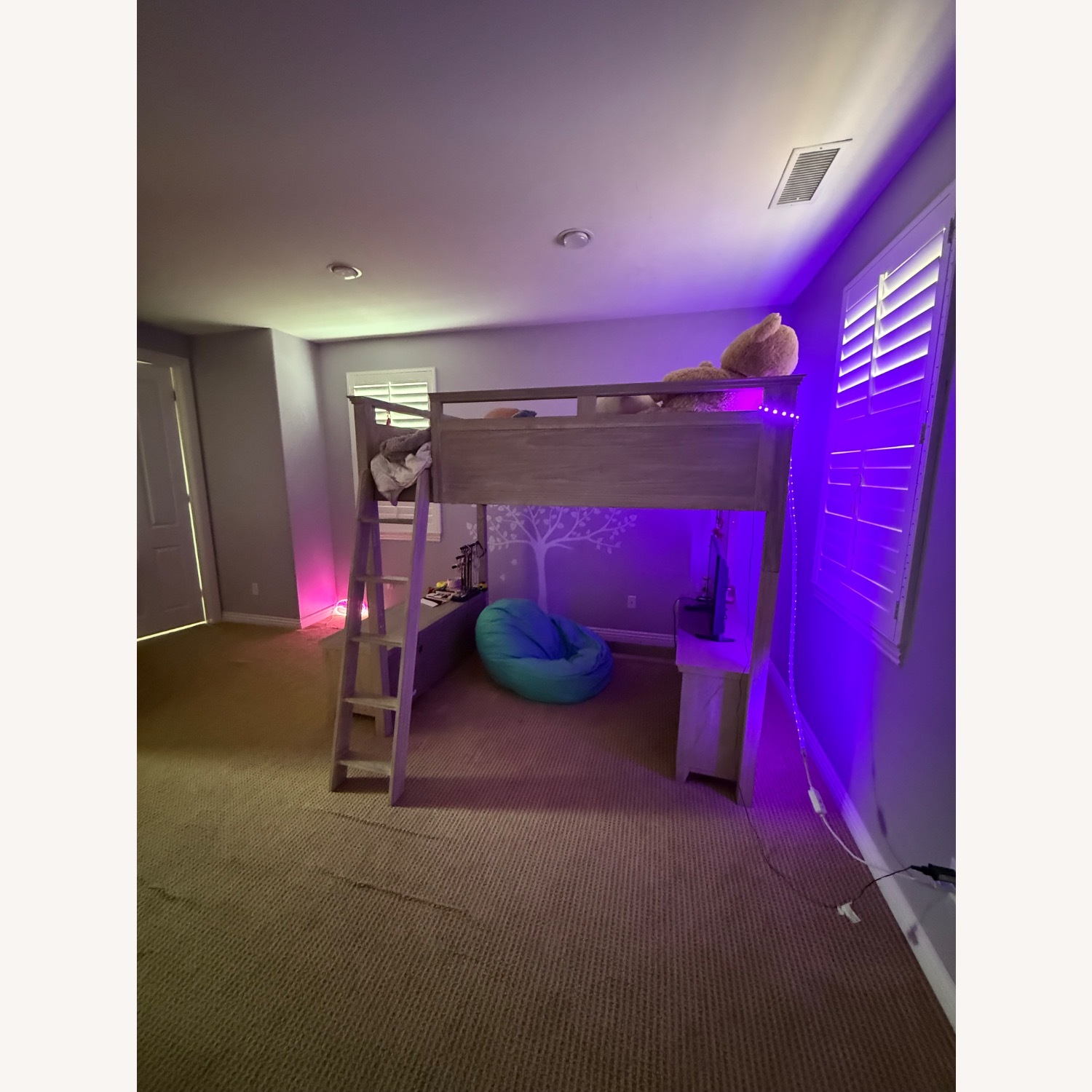 Pottery Barn Teen Hampton Loft Bed  - image-3