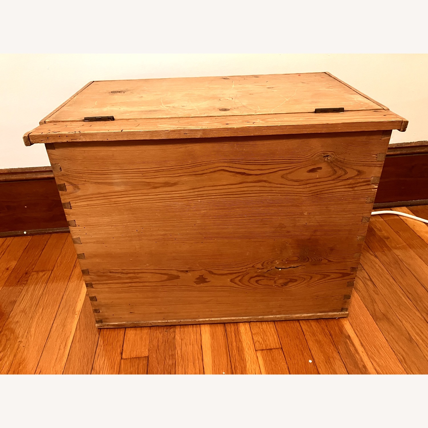 Antique Pine Trunk German Origin - image-4
