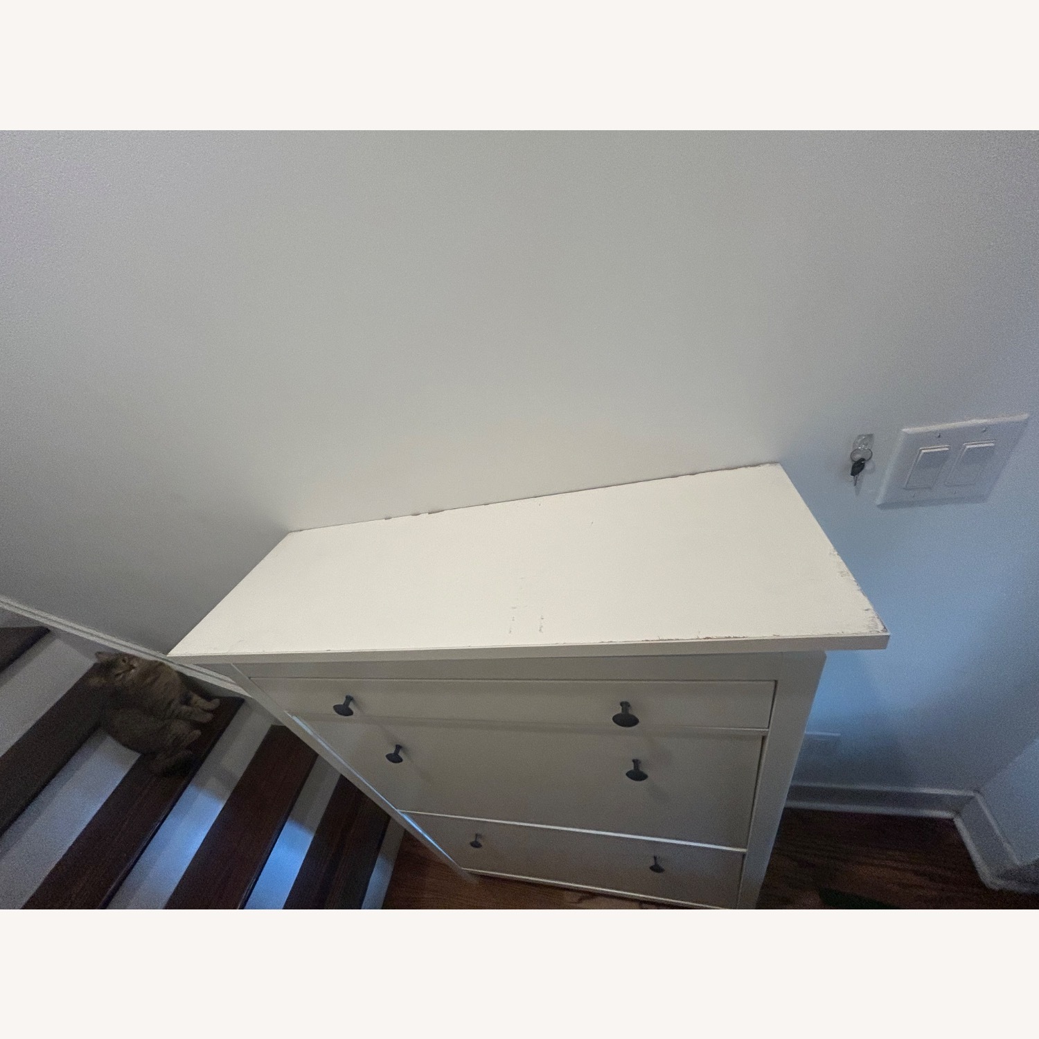 IKEA Hemnes Shoe Cabinet - AptDeco
