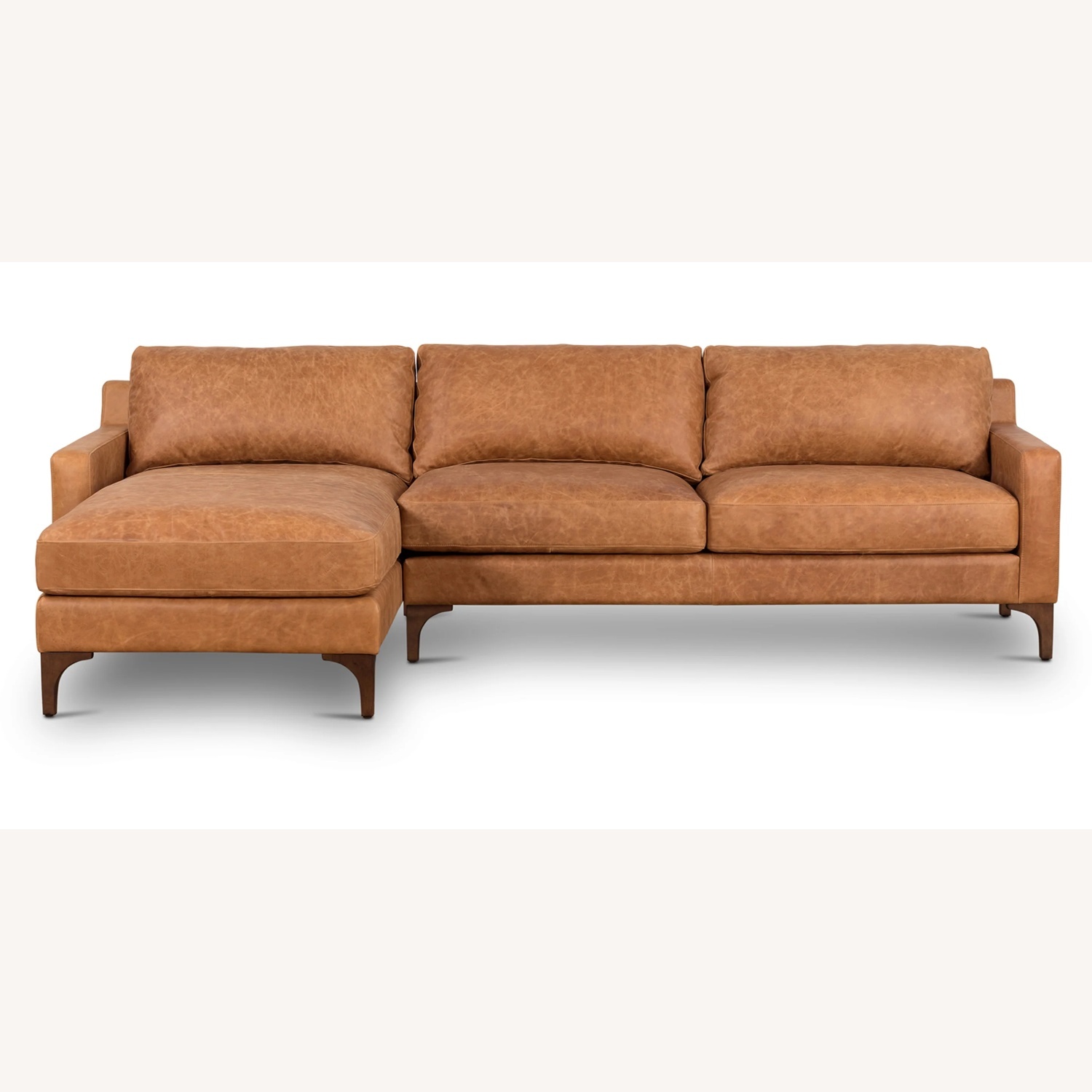 Poly And Bark Couchnull