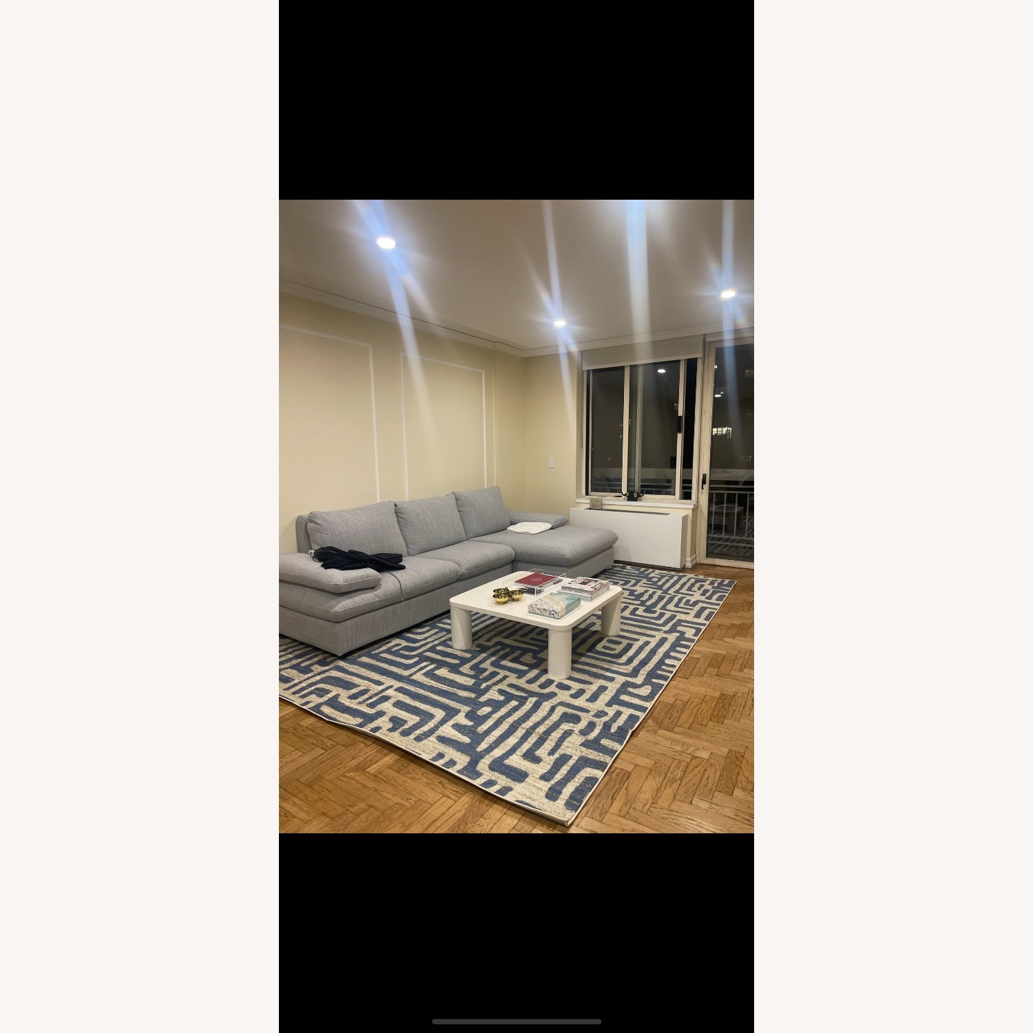 Light gray with hint of blue sofa - image-3