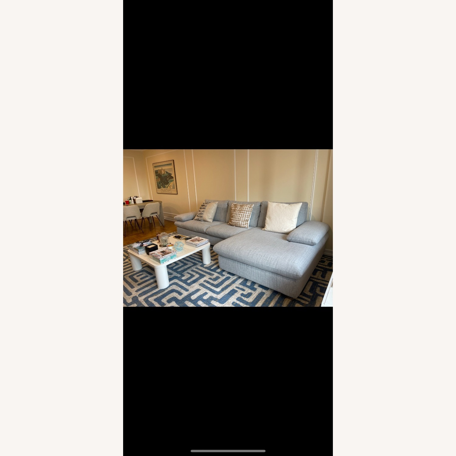 Light gray with hint of blue sofa - image-4