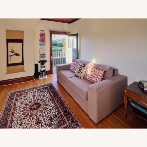 Used Ellingson Velvet Queen Sleeper Sofa for sale on AptDeco