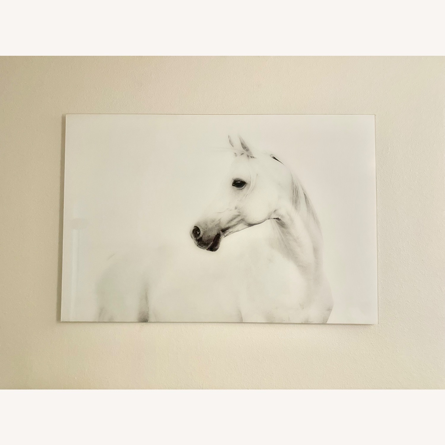White Horse Wall Art  - image-3