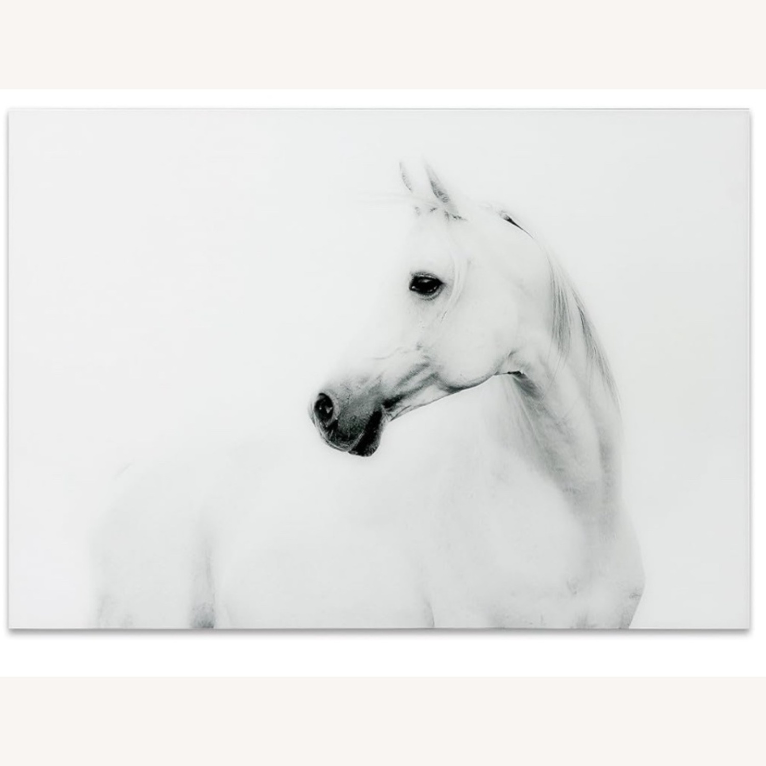 White Horse Wall Art  - image-4