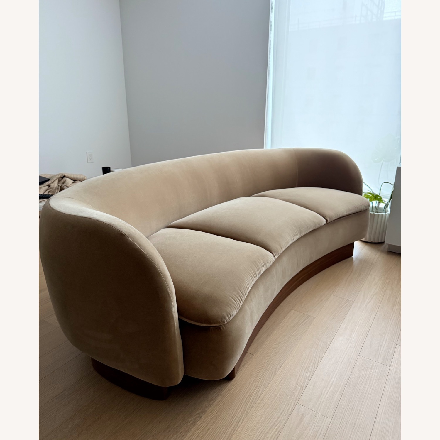 CB2 Muir Curved Couch - image-1