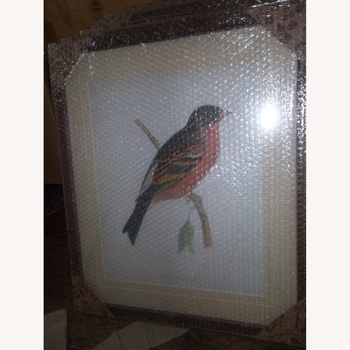 Used Robin Bird for sale on AptDeco
