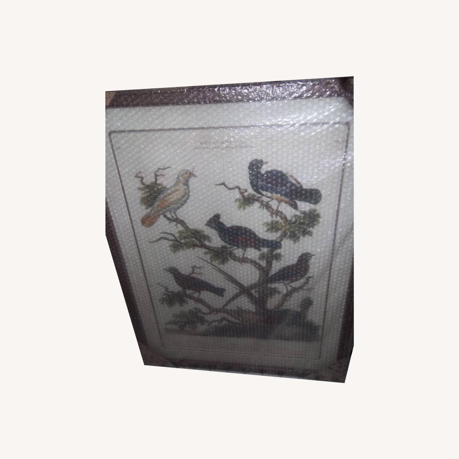 Robin Bird - image-0