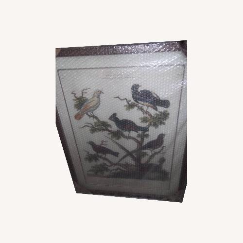 Used Robin Bird for sale on AptDeco