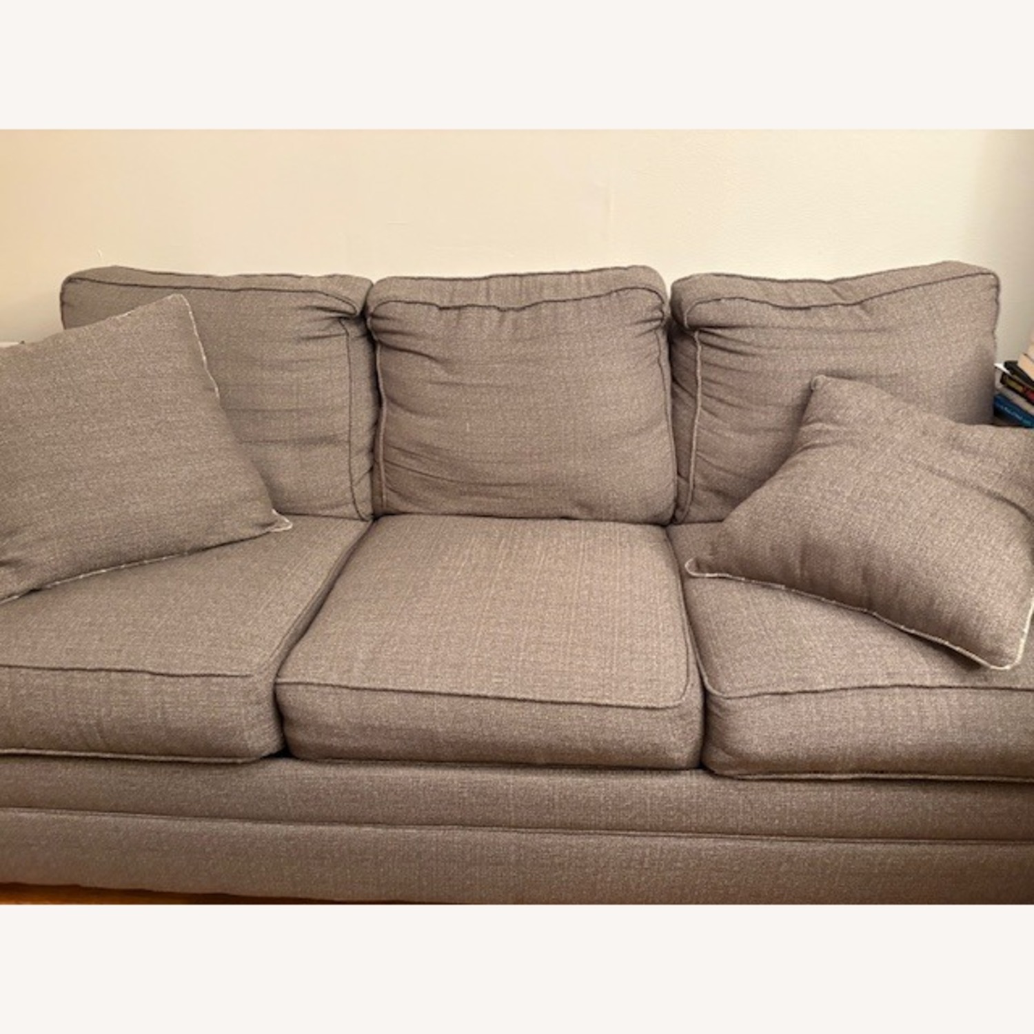 Bob's Sleeper Sofa - image-1