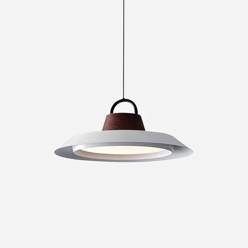 Used Arenal Pendant Lamp for sale on AptDeco