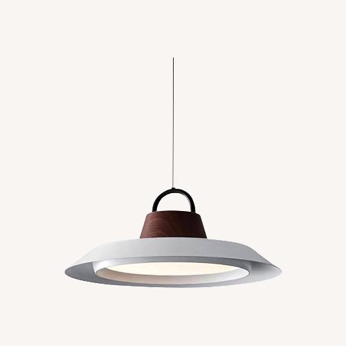 Used Arenal Pendant Lamp for sale on AptDeco