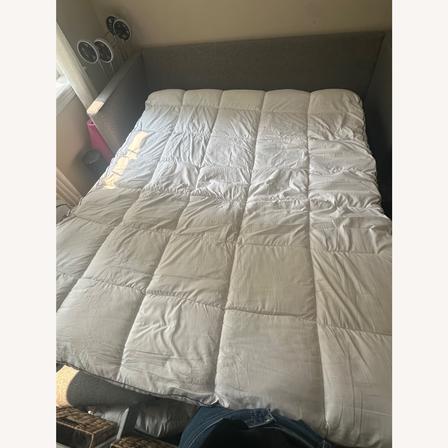 Joybird Briar Sleeper Sofa - image-7