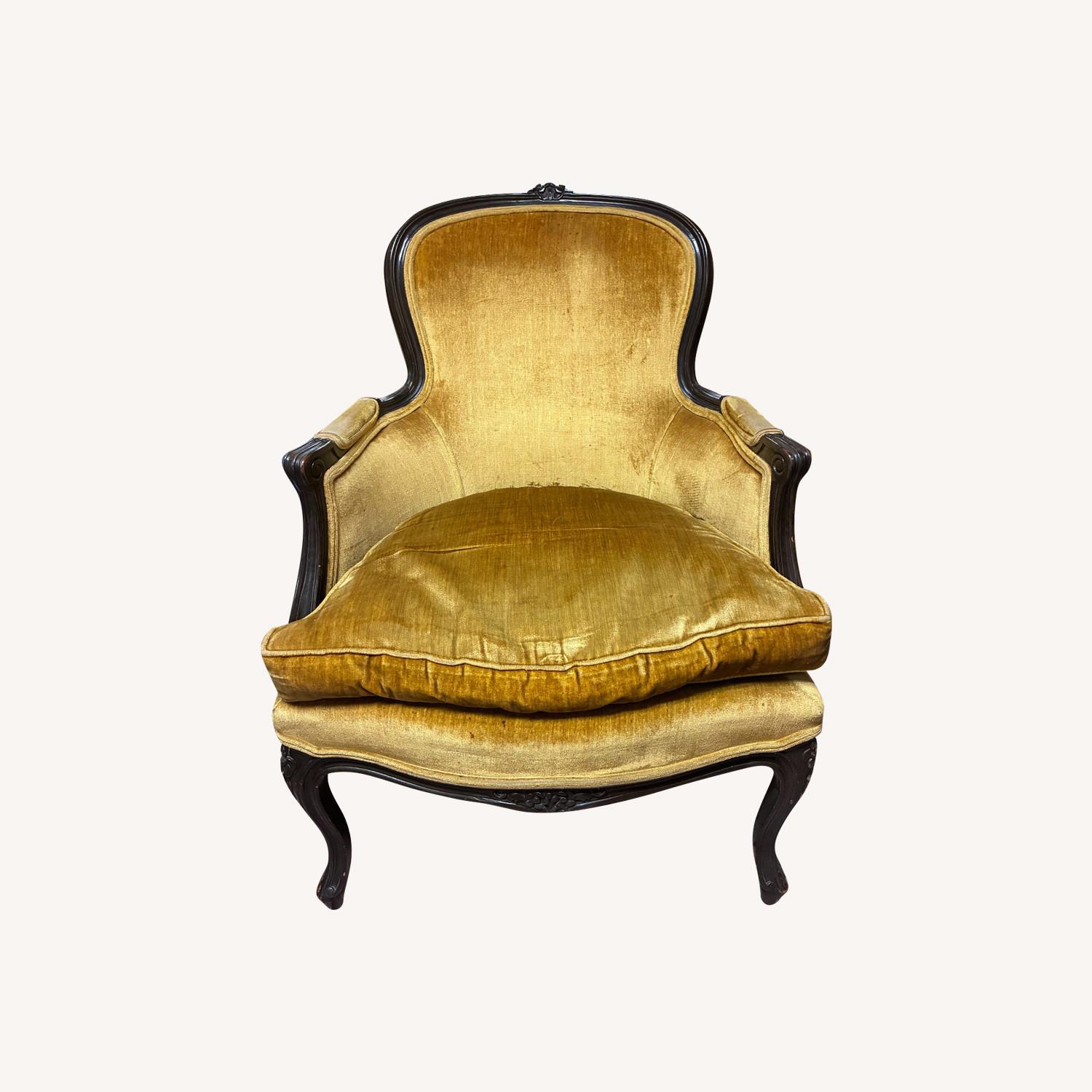 Louis XV Bergre Chair - image-0