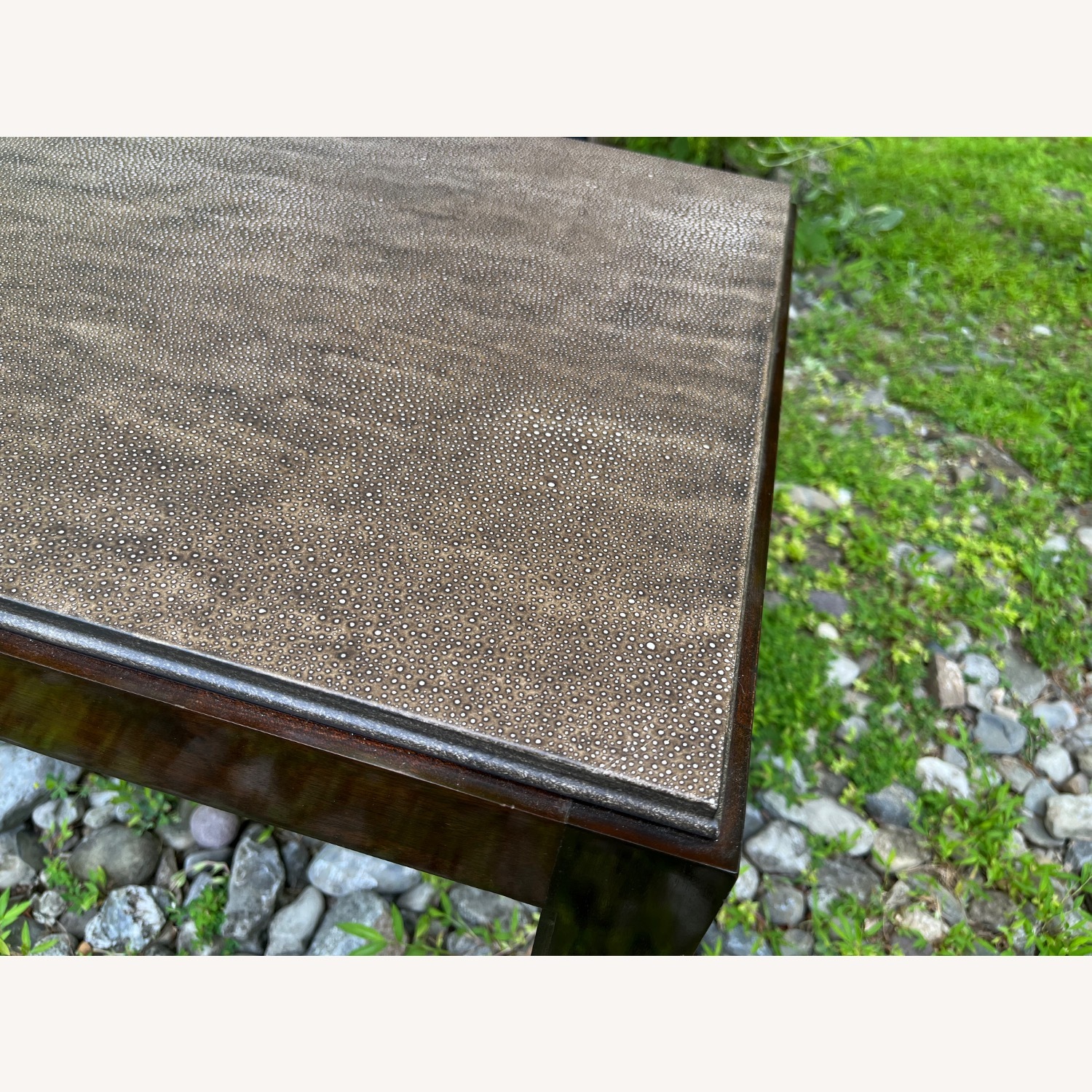 Vintage Shagreen Top Coffee Table - image-2