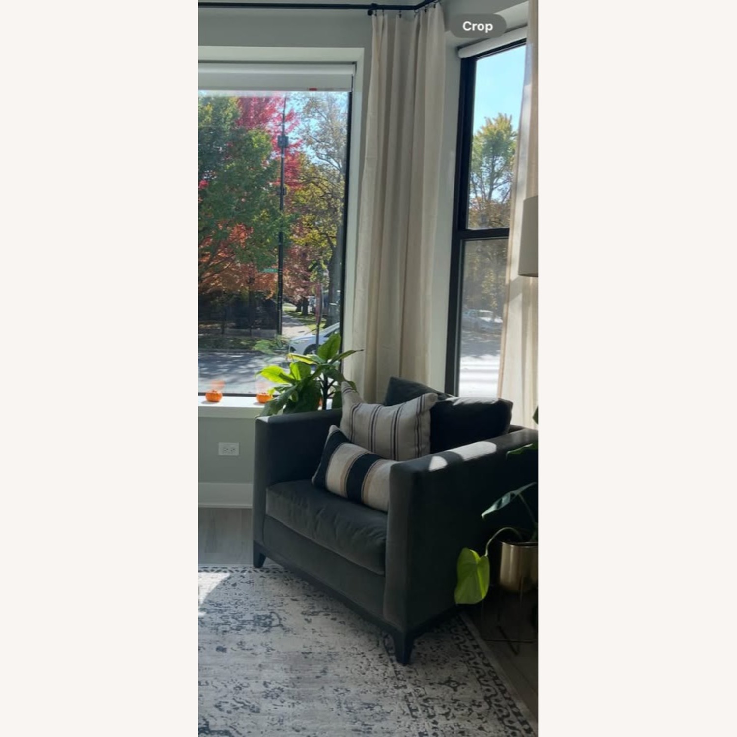 Crate & Barrel Club Chair - image-1